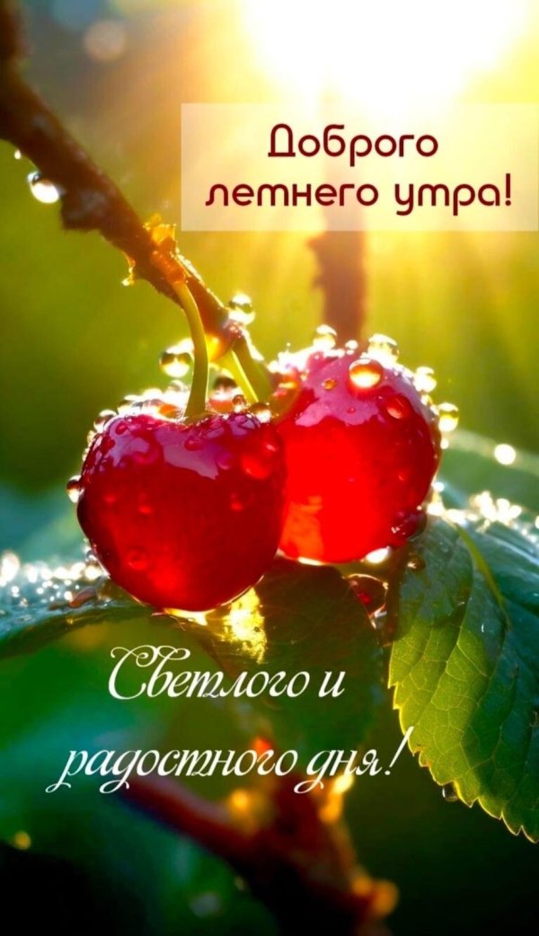 летнего утра