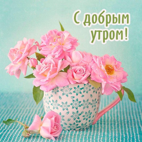 открытка с добрым утром женщине