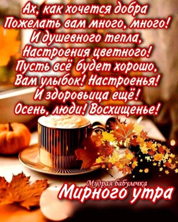 красивое осеннее доброе утро