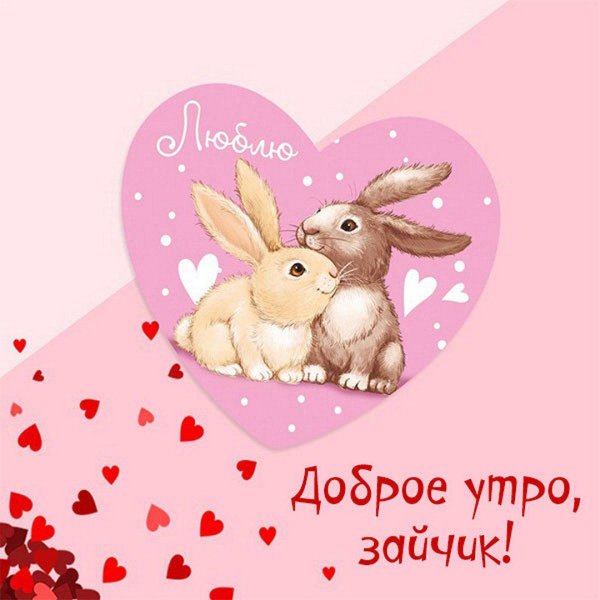 любимый зайчик