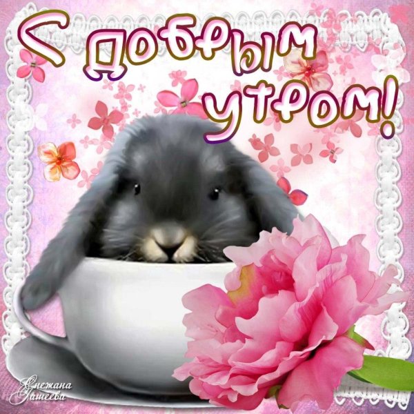 открытки с добрым утром