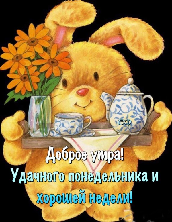 с добрым утром зайчонок