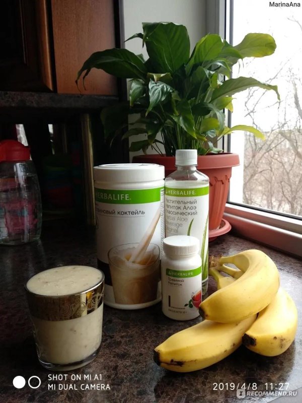 herbalife nutrition протеиновый коктейль