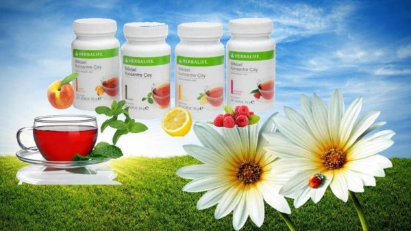 витамины гербалайф