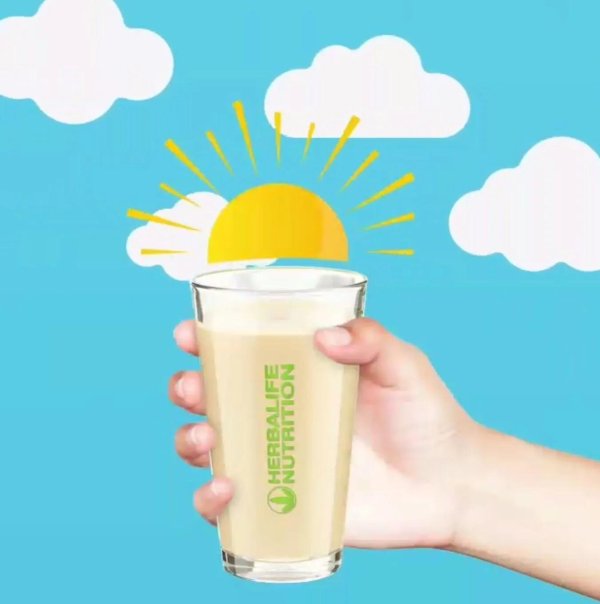 гербалайф коктейли