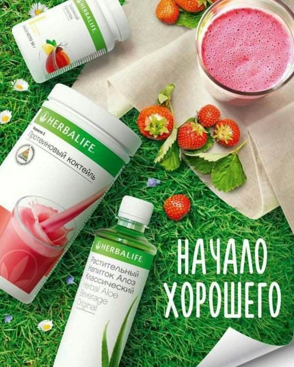 базовая программа гербалайф