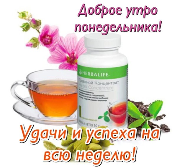 гербалайф чай 100гр