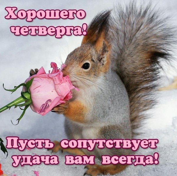 доброго зимнего четверга