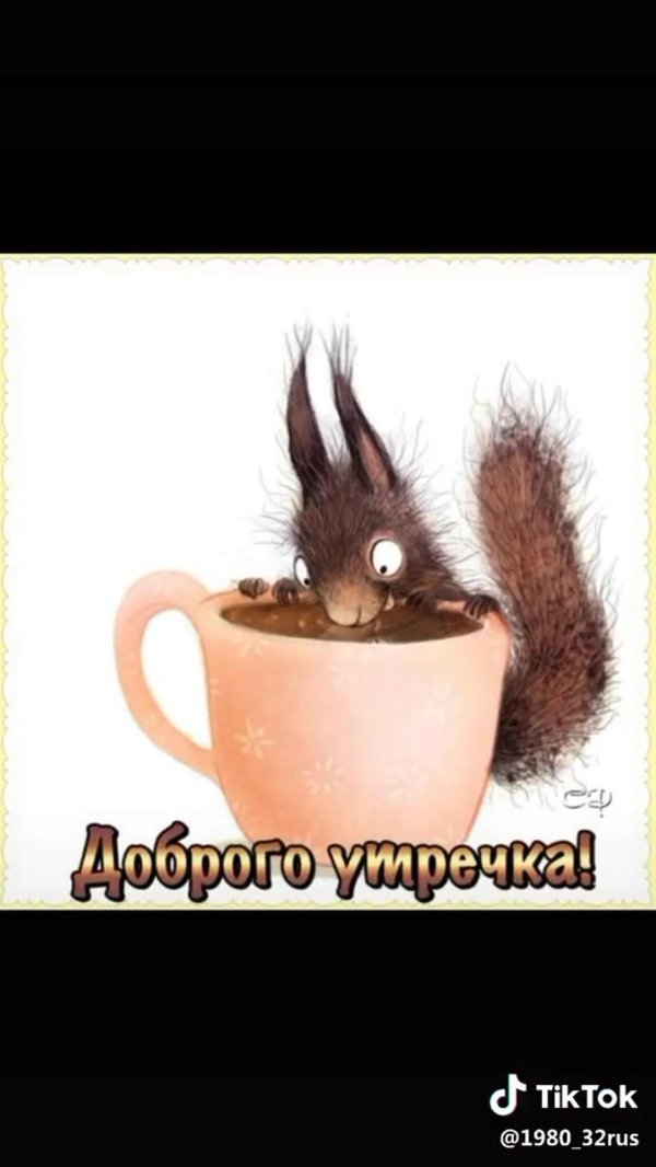 с добрым утром белки