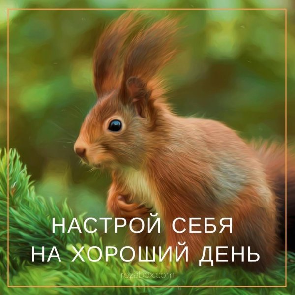 с добрым утром белочка