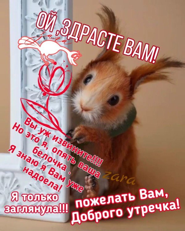 с добрым утром для поднятия настроения