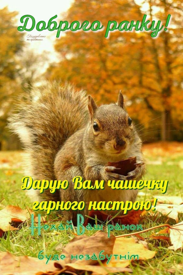 осенние животные