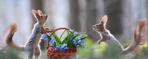 вадим трунов фотограф