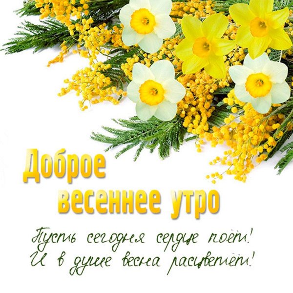 весенние открытки доброе утро
