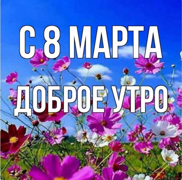 открытки полевые цветы