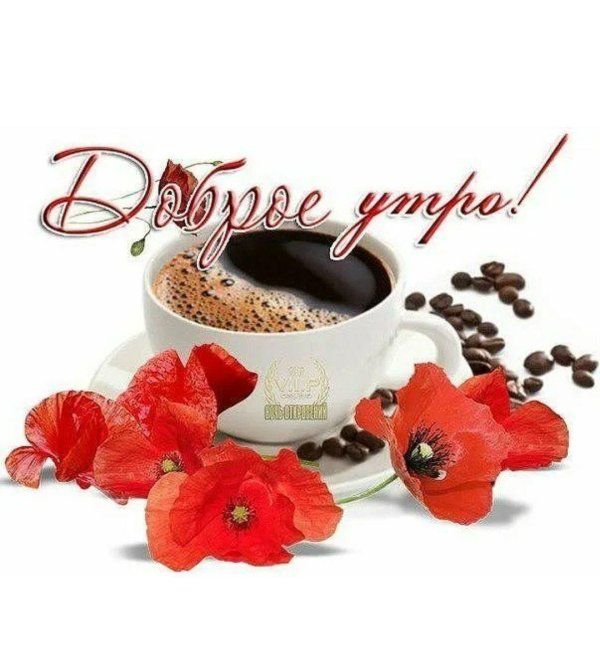 доброе утро маки
