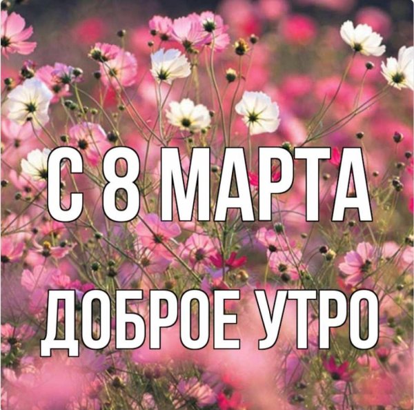 доброго утра 8 марта