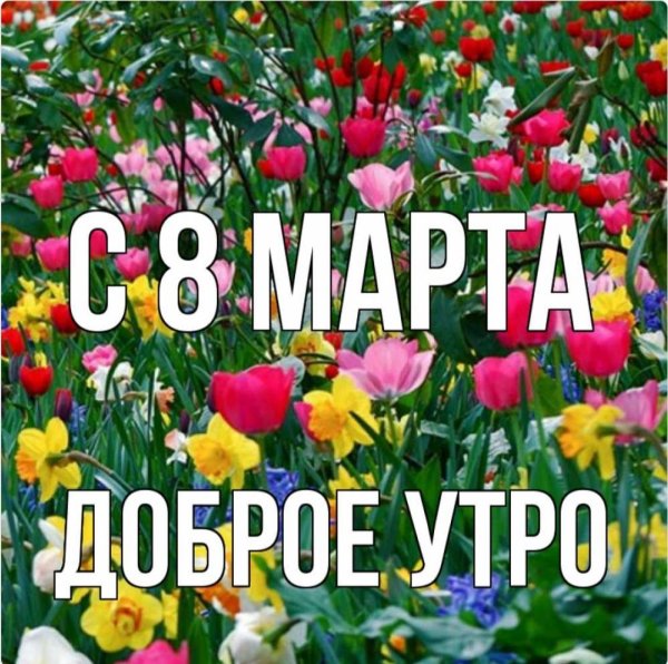 с 8 марта солнышко