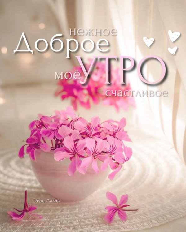 светлого доброго утра