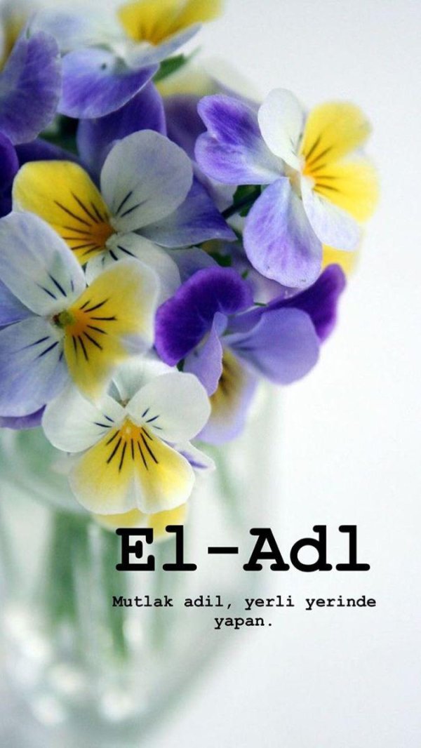 анютины глазки