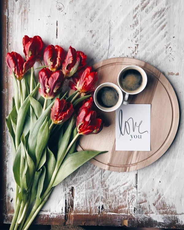 чайные тюльпаны