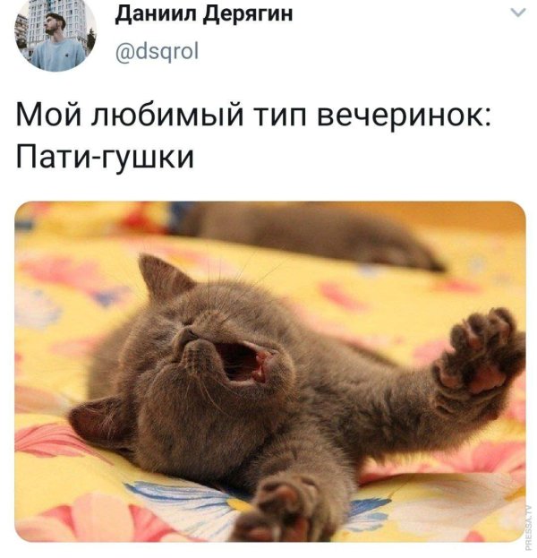 спокойной ночи зайки