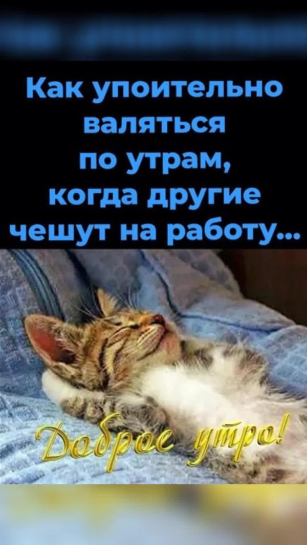как упоительно валяться по утрам когда другие