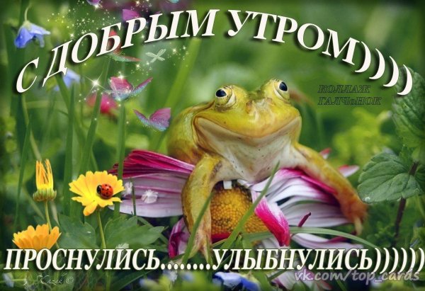 проснулись улыбнулись