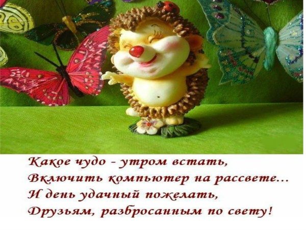 какое чудо утром встать