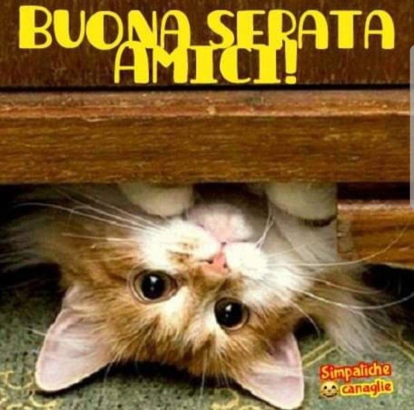 прикольное приветствие