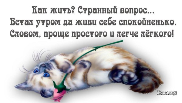 иллюстрация кошка