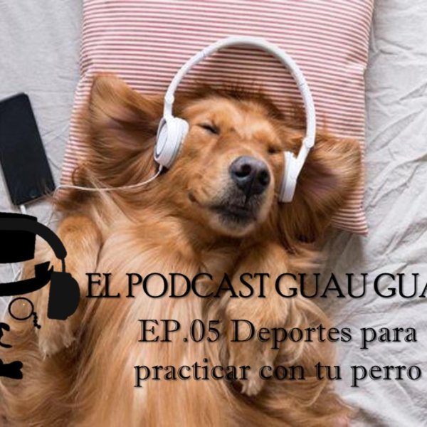 собака музыкальная