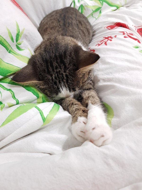 Доброе утро проснулись улыбнулись потянулись