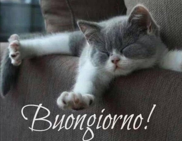 ура суббота