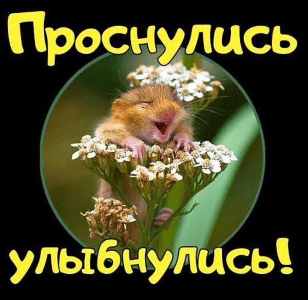 проснулись улыбнулись