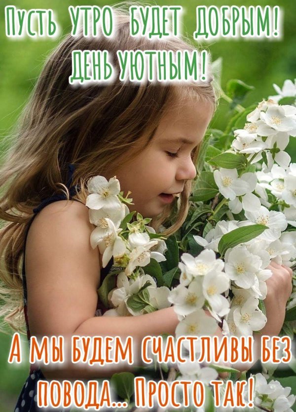 дети цветы жизни