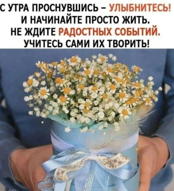 ромашек букет