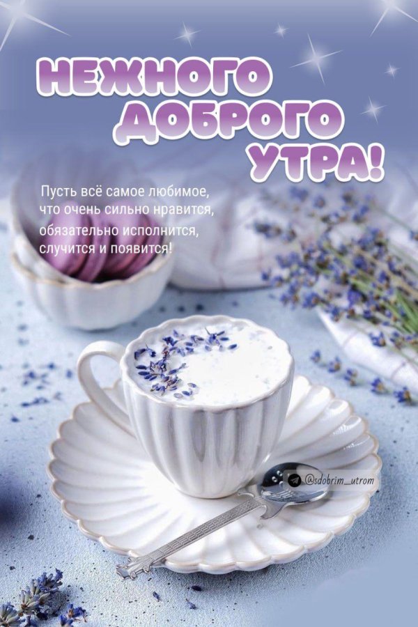 лавандовый латте