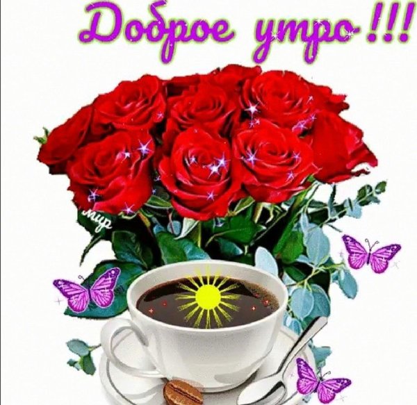 красивая открытка с добрым утром