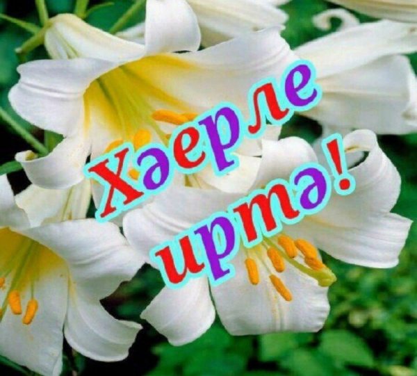 хәйерле иртә теләктәр башкортса