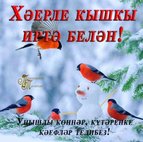 зимнее доброе утро на татарском языке