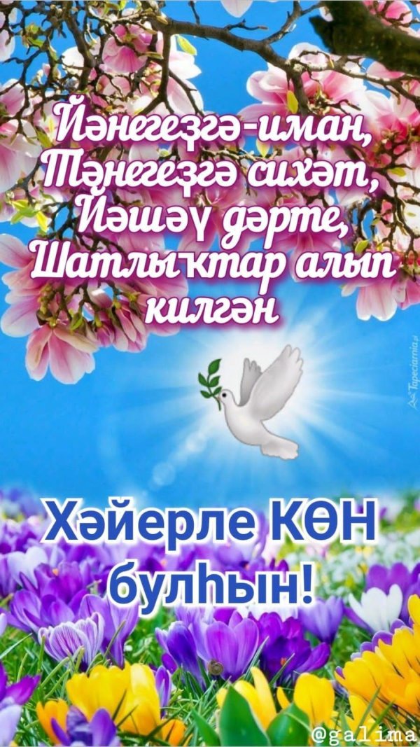 хәйерле көн теләктәр башкортса