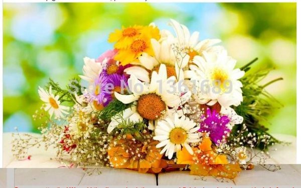 ромашка букет