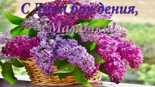 букет сирени