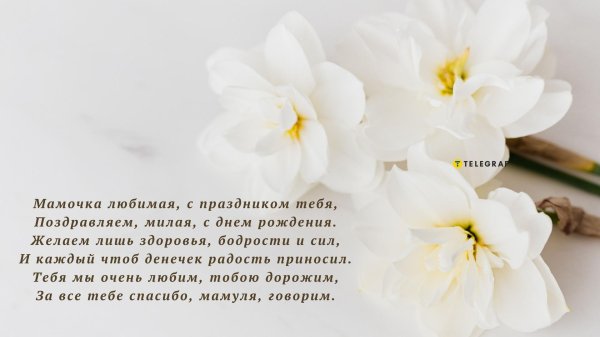 белоснежный фон