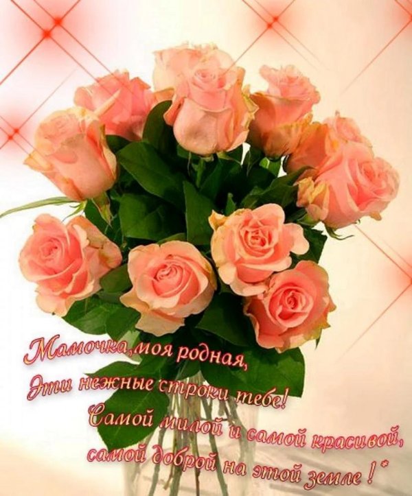 розы шикарные