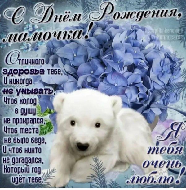 белые медвежата