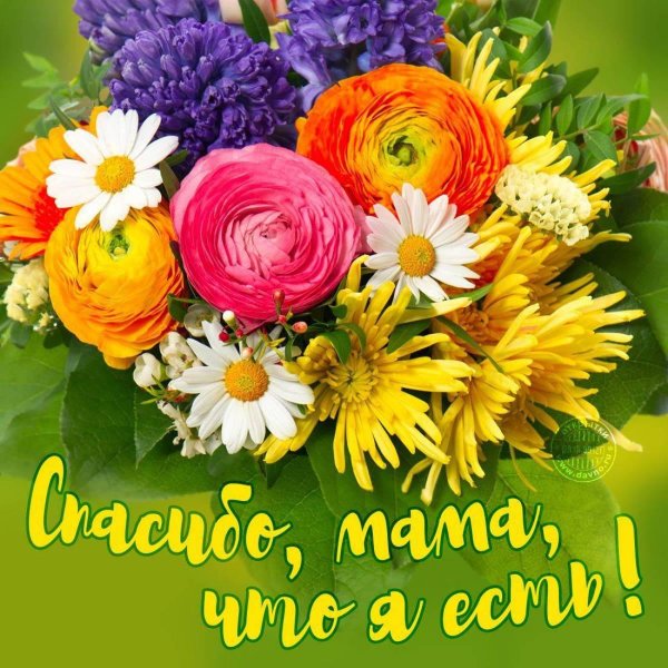 открытка поздравляю