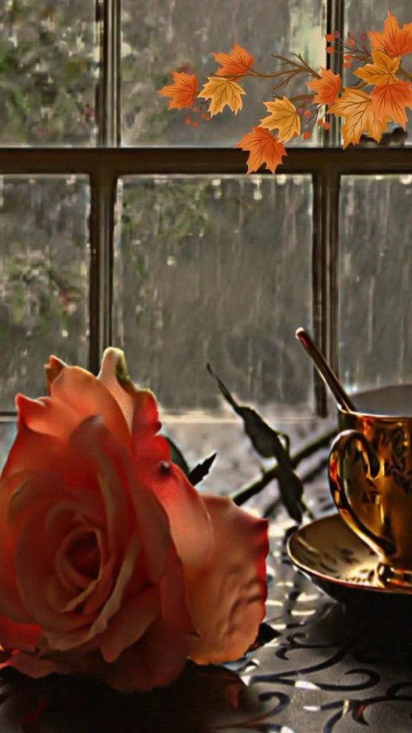 Доброе утро дождь за окном с надписями