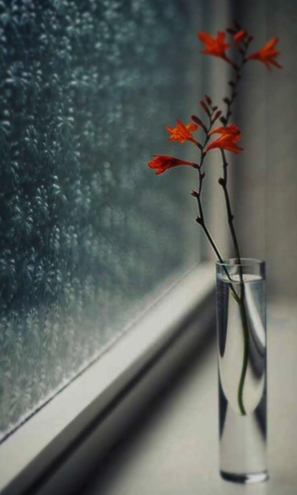 vase filled with flowers